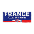 France 2026 World Cup Soccer Scarf