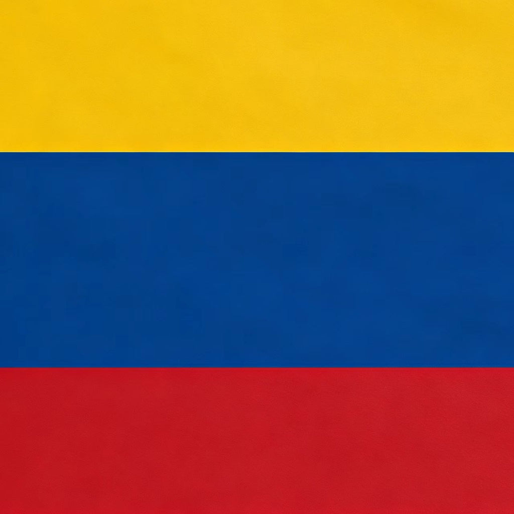 World Cup 2026 Country Flag Scarf